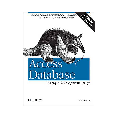 Access Database Design & Programming 3e