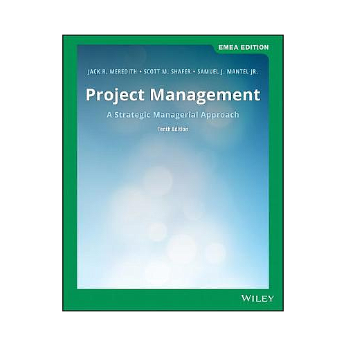 Project Management: A Strategic Managerial Approach